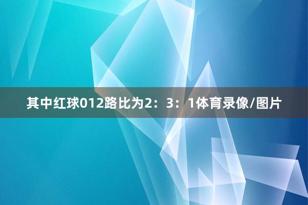 其中红球012路比为2：3：1体育录像/图片